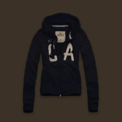 Cheap Hollister Women Hoodies wholesale No. 2